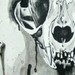 tattoo galleries/ - Cat Skull - 43467